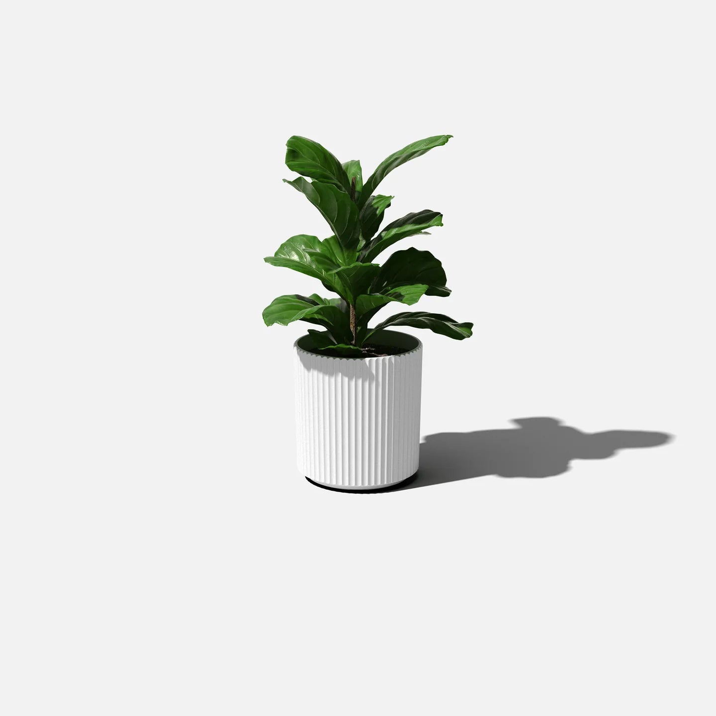 Mason Demi Planter - 16 inch