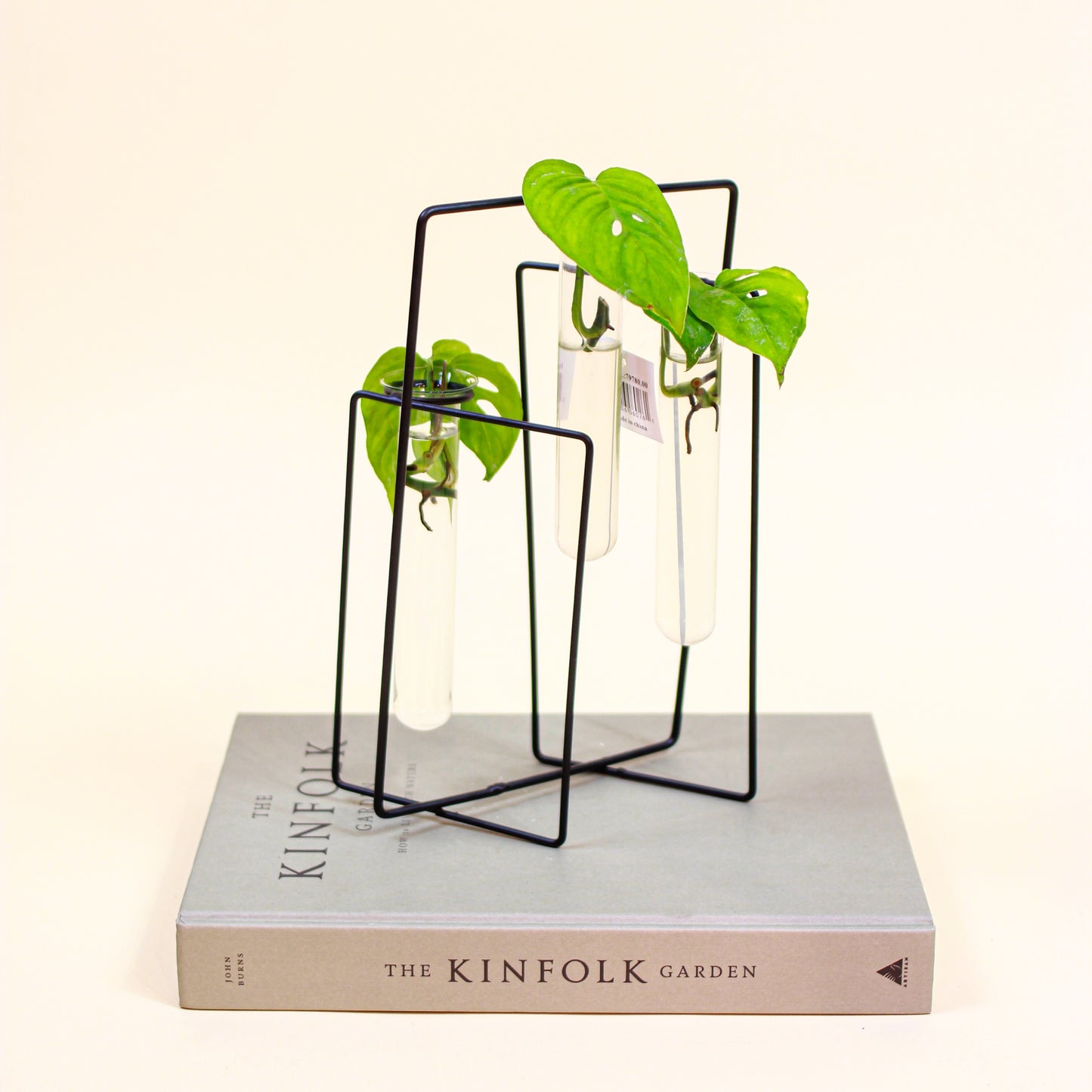Zanzi Propagation Station Stand