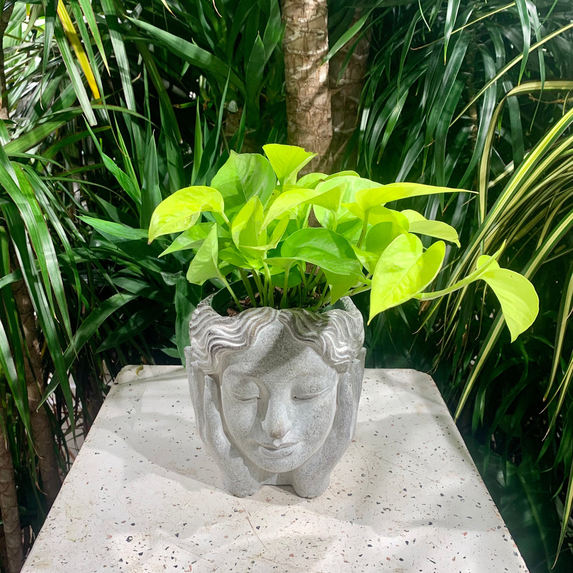 Face Palm Bust Planter | 4 inch Nursery Pot — empty planter, studio photo — planter for sale by Promise Supply for delivery and pickup in Toronto.