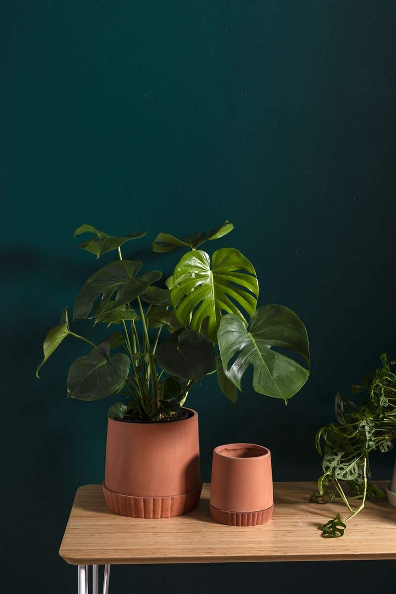 Kadin Planter with Drainage and Tray | 12 inch Diameter — empty planter, studio photo — planter for sale by Promise Supply for delivery and pickup in Toronto.