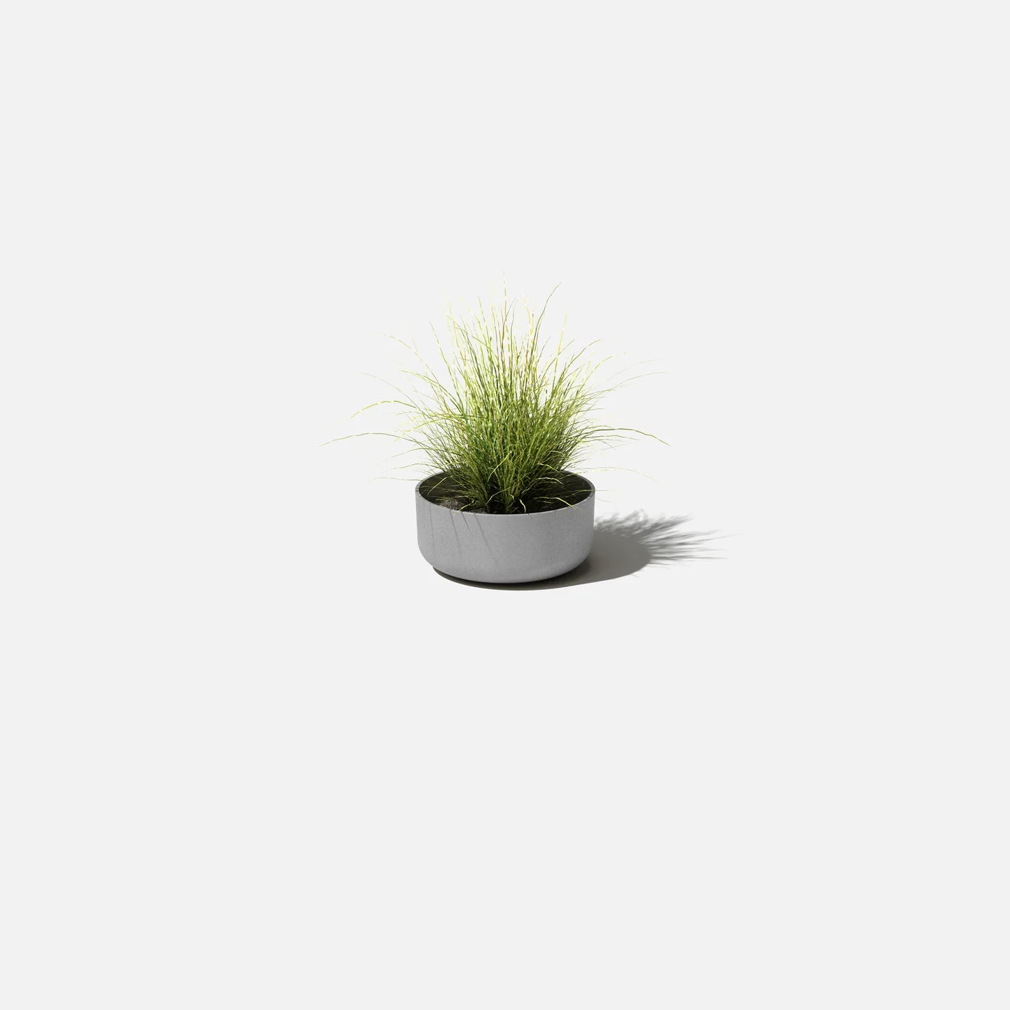 Mason Kona Bowl Planter | 14 inch — empty planter, low bowl planter, studio photo — planter for sale by Promise Supply for delivery and pickup in Toronto.
