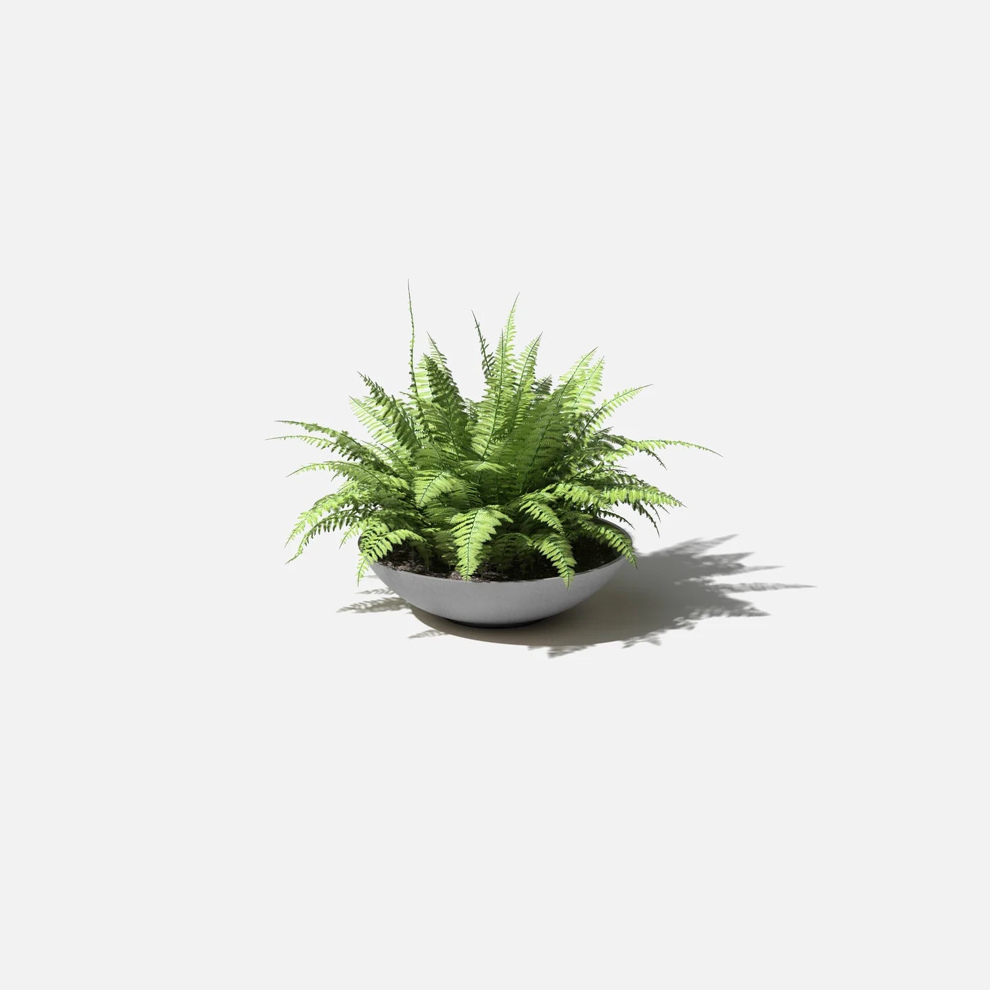 Mason Lane Bowl | 24 inch — empty planter, low bowl planter, studio photo — planter for sale by Promise Supply for delivery and pickup in Toronto.