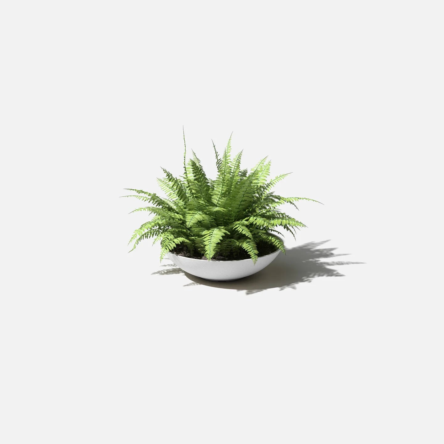 Mason Lane Bowl | 24 inch — empty planter, low bowl planter, studio photo — planter for sale by Promise Supply for delivery and pickup in Toronto.