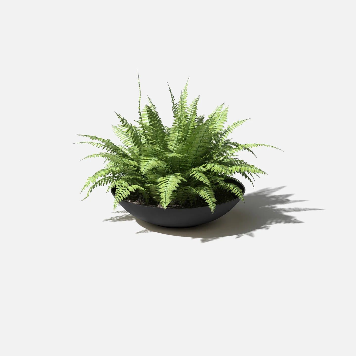 Mason Lane Bowl - 32 inch