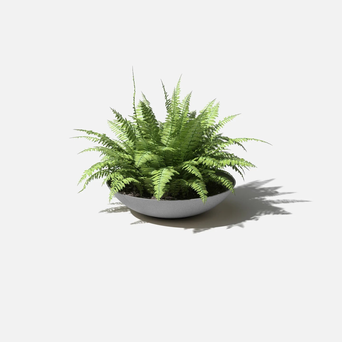 Mason Lane Bowl | 32 inch — empty planter, low bowl planter, studio photo — planter for sale by Promise Supply for delivery and pickup in Toronto.