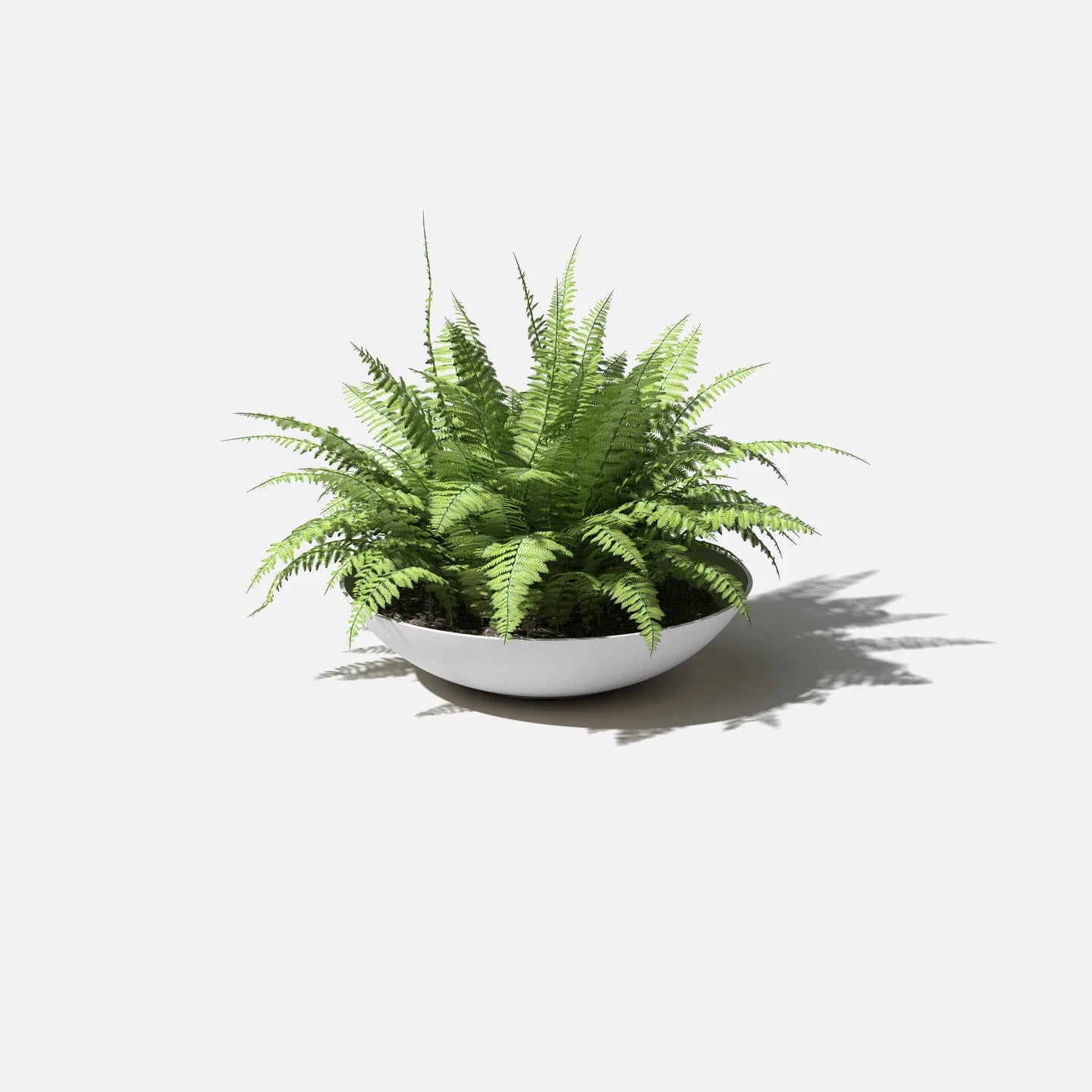 Mason Lane Bowl | 32 inch — empty planter, low bowl planter, studio photo — planter for sale by Promise Supply for delivery and pickup in Toronto.