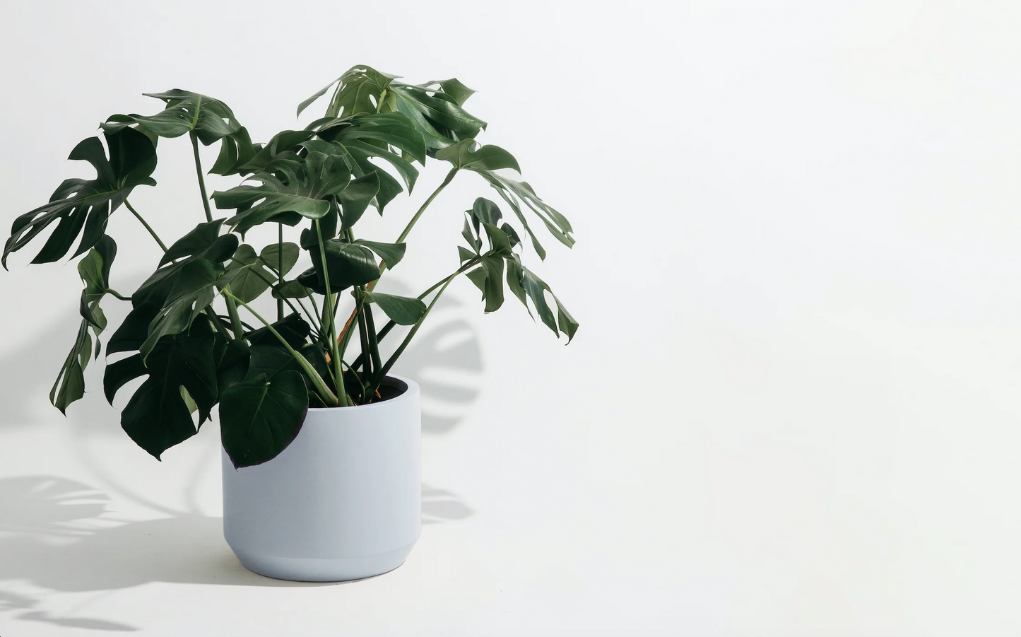 Carver Low Cylinder Planter in White fits up to 12 inch Nursery Pot