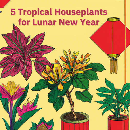 Embrace Nature this Lunar New Year with These 5 Tropical Houseplants