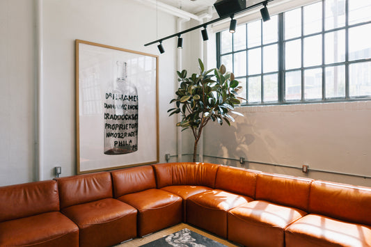 Office Installation: Eastroom King Steet East Indoor and Patio Plants