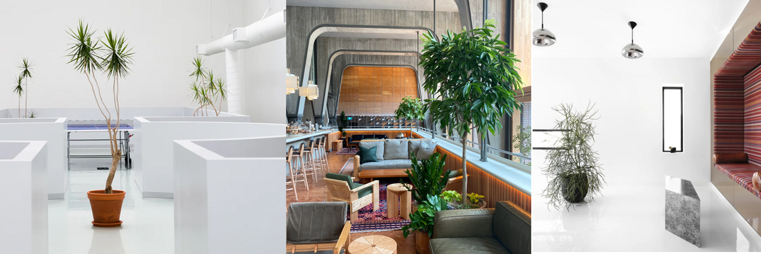 Dynasty's previous office, retail, and hospitality installatios