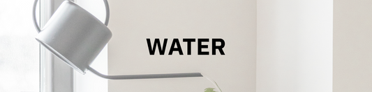 Watering Your Plants: How to Keep Indoor Plants Happy and Hydrated