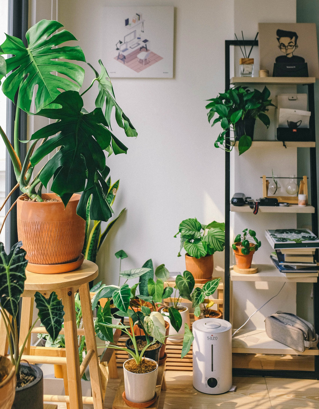 A collection of houseplants next to a window