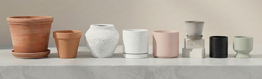 Planter 101: Form & Function