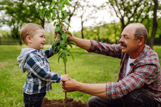 How to Plant Trees and Shrubs in Your Back Yard In Canada
