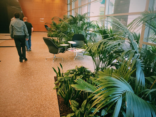 Office Plants and Biophilic Design Help Improve Focus, Mood, and More in Your Workspace