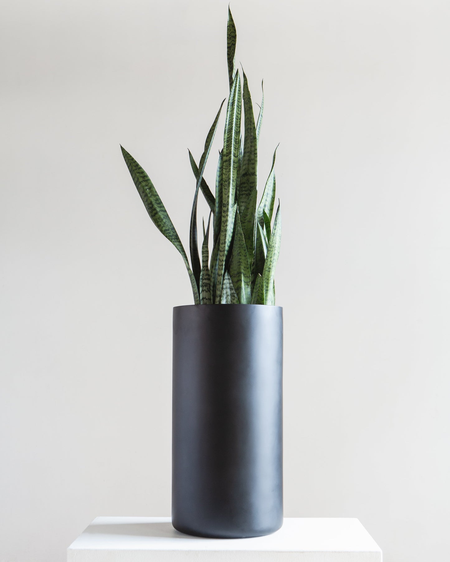 Cylindrico Tall Planter | Fits up to 8 inch Nursery Pot