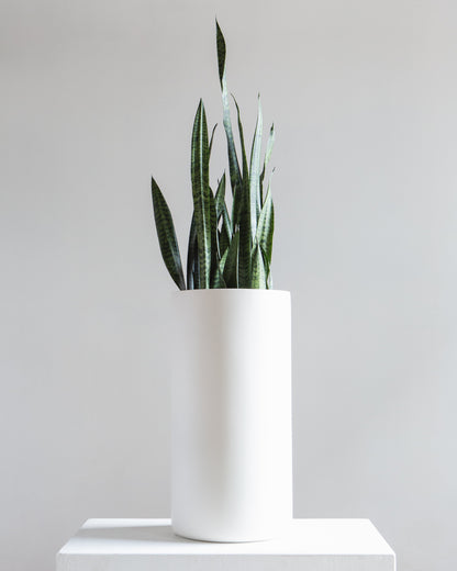 Cylindrico Tall Planter | Fits up to 8 inch Nursery Pot