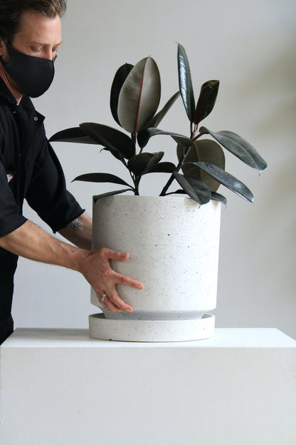 Callahan Concrete Planter with Drainange and Tray | 13 inch Diameter