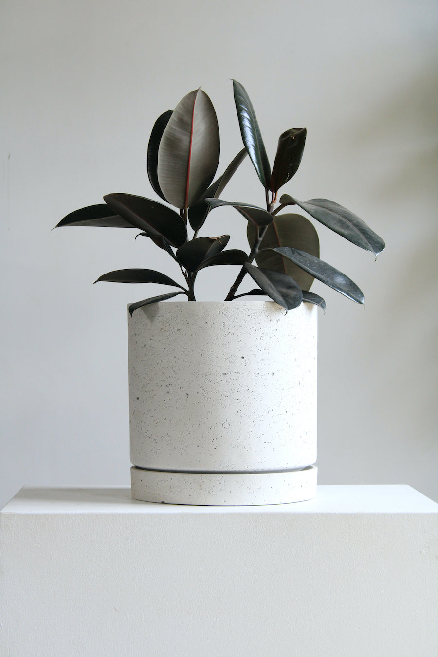 Callahan Concrete Planter with Drainange and Tray | 13 inch Diameter