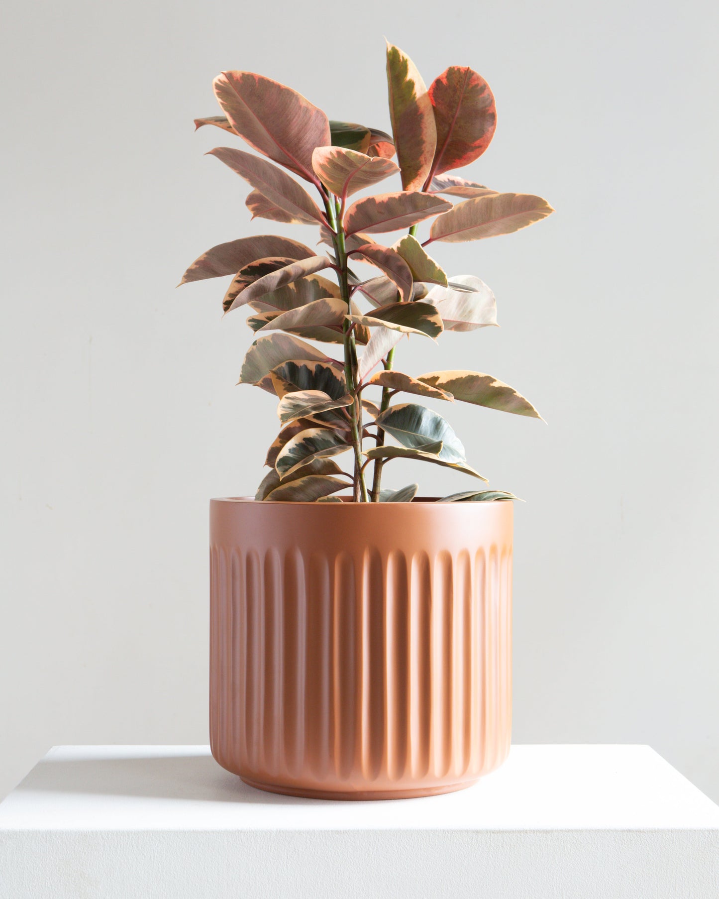 Doric Planter | Fits up to 10 inch Nursery Pot