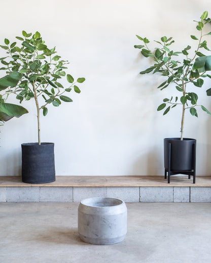 Caldwell Short Concrete Planter with Drainage | 14 inch Diameter
