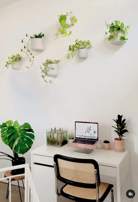 Wall Mounted Signature Stone Planter with Drainage in 7 inch Diameter