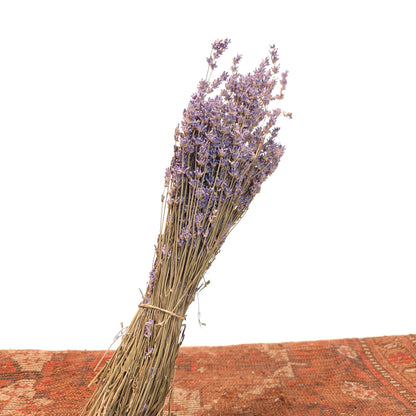 Dried lavender: Lavandula — Dried & Preserved product on white background — for sale by Promise Supply for delivery and pickup in Toronto.