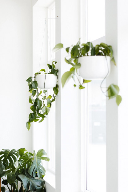 White Hanging Planter in 8 inch - Fits up to 6 inch Nursery Pot