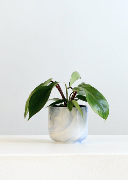 Caspian Blue Marbled Planter | 4 inch Nursery Pot