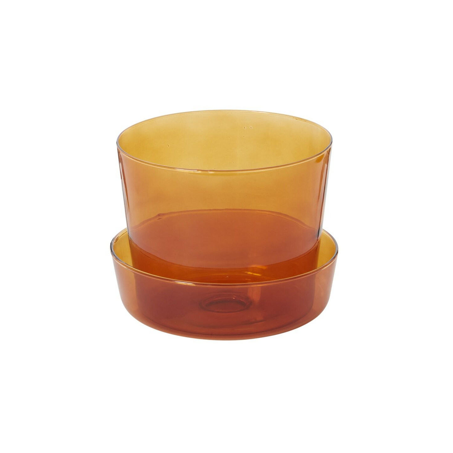 Glass Pot with Drainage and Tray | 6 inch Diameter