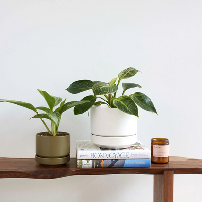 Round Two Ceramic Planter with Drainage and Tray | 7 inch Diameter