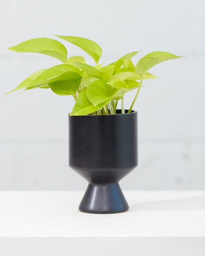 De Vil Pot | 4 inch Nursery Pot