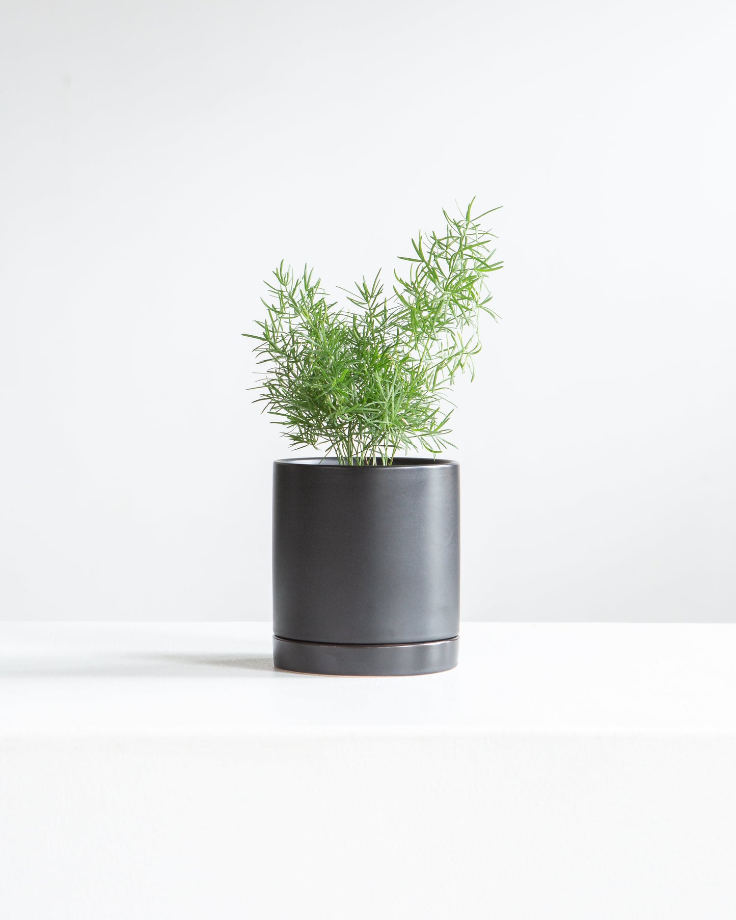 Romey Ceramic Pot with Drainage and Tray | 4 inch Diameter