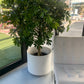 Atlas Plastic Planter fits up to 20 inch Nursery Pot