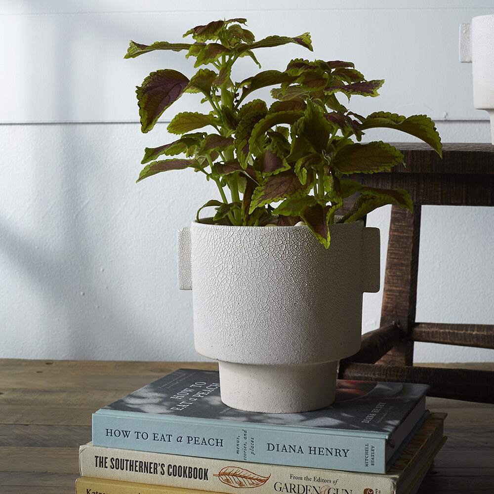 Milton Textured Off White Planter | 6 inch Nursery Pot — empty planter, studio photo — planter for sale by Promise Supply for delivery and pickup in Toronto.