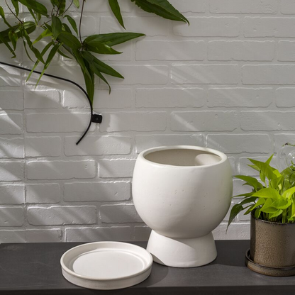 Boskey Egg Cup Planter with Drainage and Tray | 8 inch Diameter