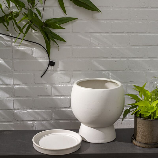 Boskey Egg Cup Planter with Drainage and Tray | 8 inch Diameter