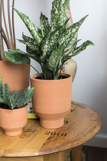 Crescendo Terracotta Pot fits up to 3.5 inch Nursery Pot
