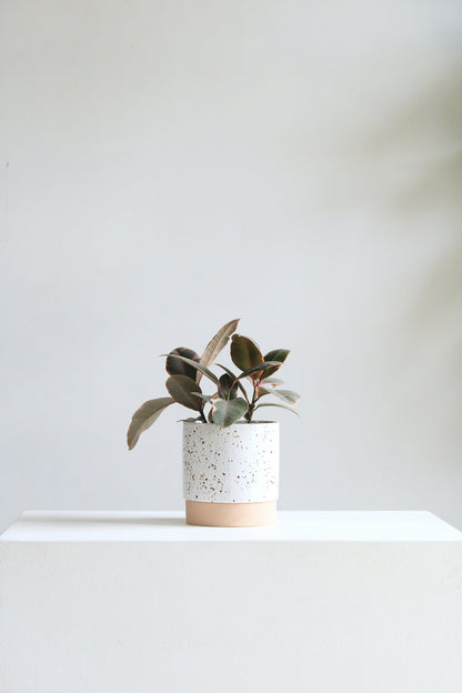 Briar Speckled Planter with Drainage and Tray | 6 Inch Diameter — empty planter, studio photo — planter for sale by Promise Supply for delivery and pickup in Toronto.