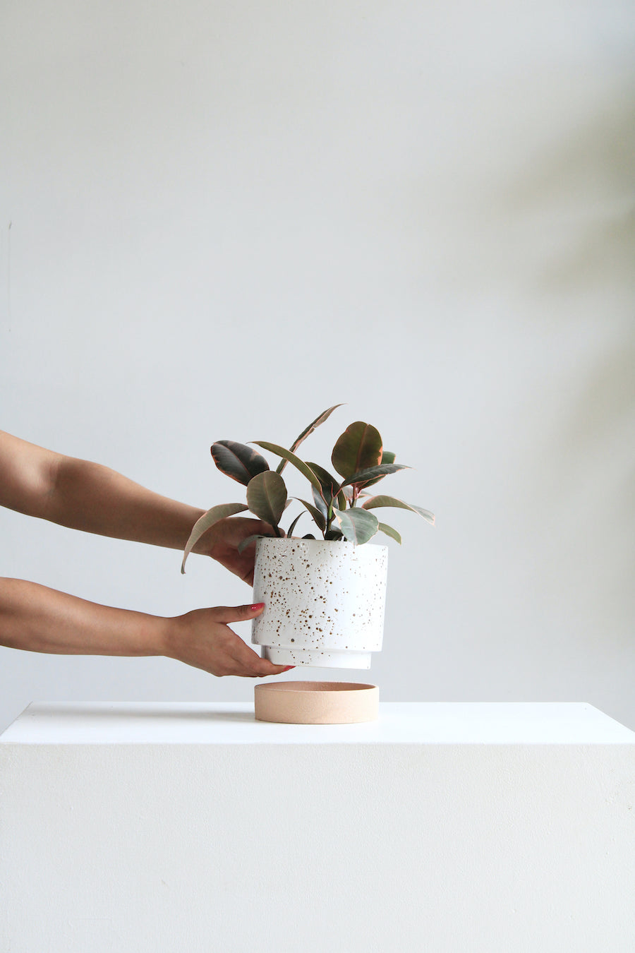 Briar Speckled Planter with Drainage and Tray | 6 Inch Diameter — empty planter, studio photo — planter for sale by Promise Supply for delivery and pickup in Toronto.