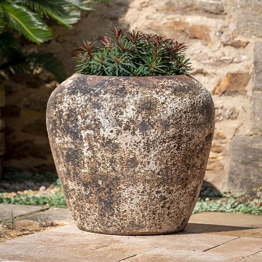 Cavaillon Jar | 18 inch Diameter — with plant inside, studio photo — planter for sale by Promise Supply for delivery and pickup in Toronto.