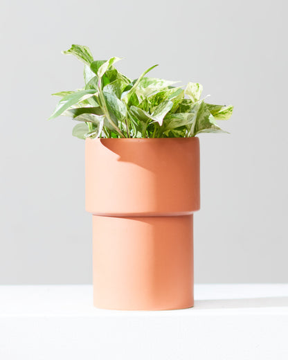 Vermillion Planter | 6 inch Nursery Pot — empty planter, studio photo — planter for sale by Promise Supply for delivery and pickup in Toronto.