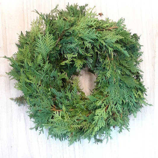 Cedar Wreath 18" — Winter Greens product on white background — for sale by Promise Supply for delivery and pickup in Toronto.