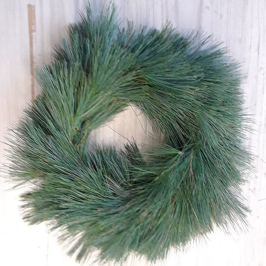 White Pine Wreath 18"