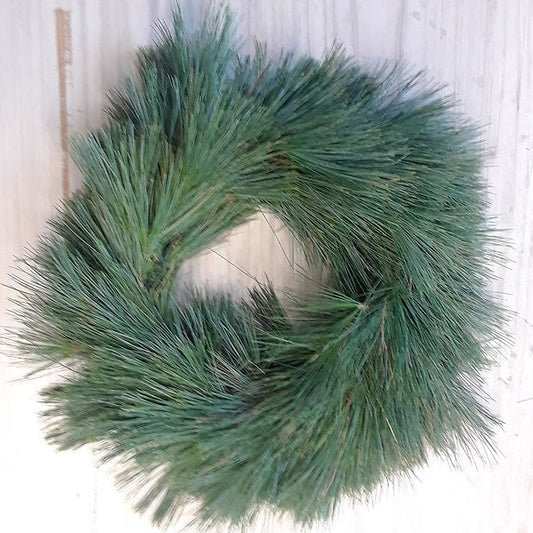 White Pine Wreath 18" — Winter Greens product on white background — for sale by Promise Supply for delivery and pickup in Toronto.