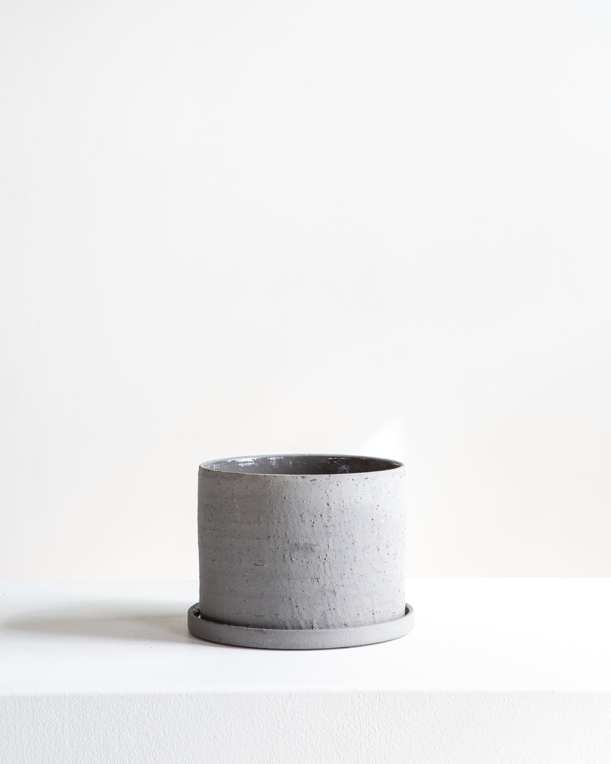 Easton Planter with Drainage and Tray | 5 inch Diameter — with plant inside, studio photo — planter for sale by Promise Supply for delivery and pickup in Toronto.