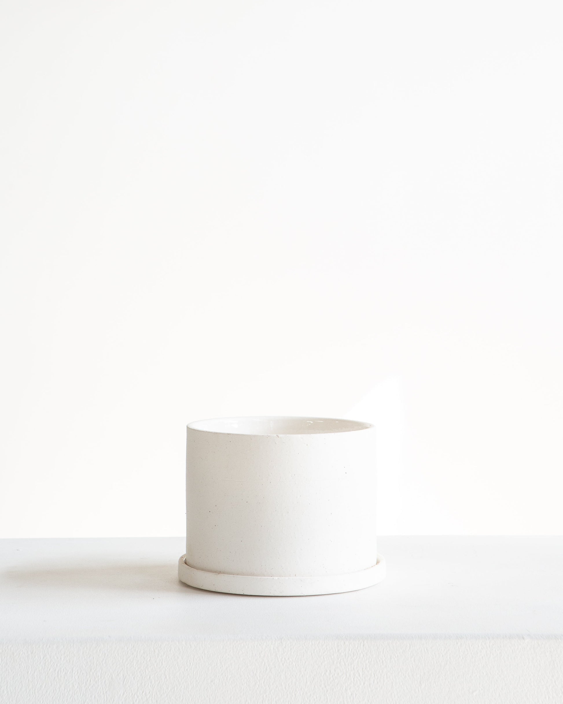 Easton Planter with Drainage and Tray | 4 inch Diameter — with plant inside, studio photo — planter for sale by Promise Supply for delivery and pickup in Toronto.