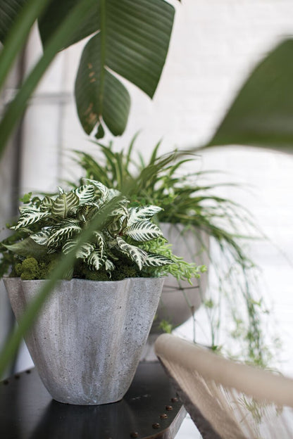 Stone-Style Living Bowl