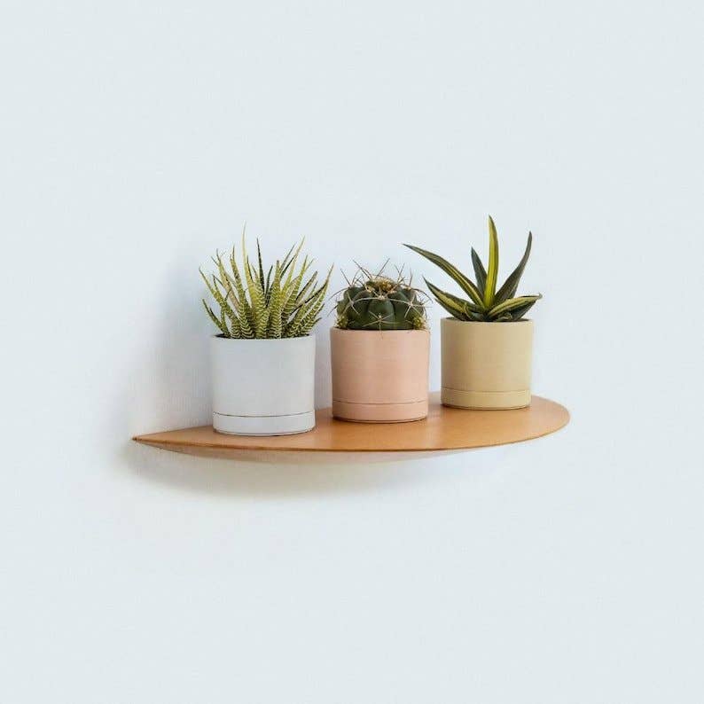 Beech Wall Mounted Plant Shelf Beech: Set of 3