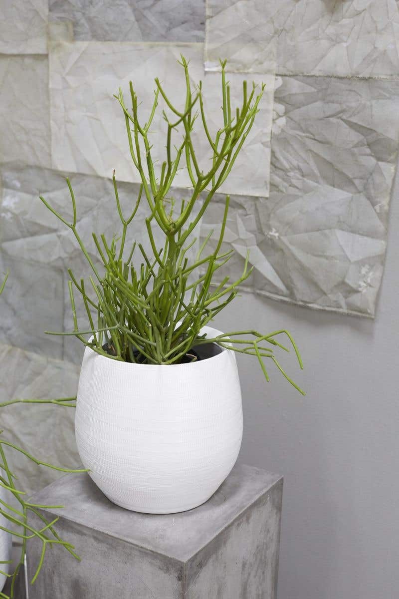 White Benji Ceramic Planter fits up to 7 inch Nursery Pot